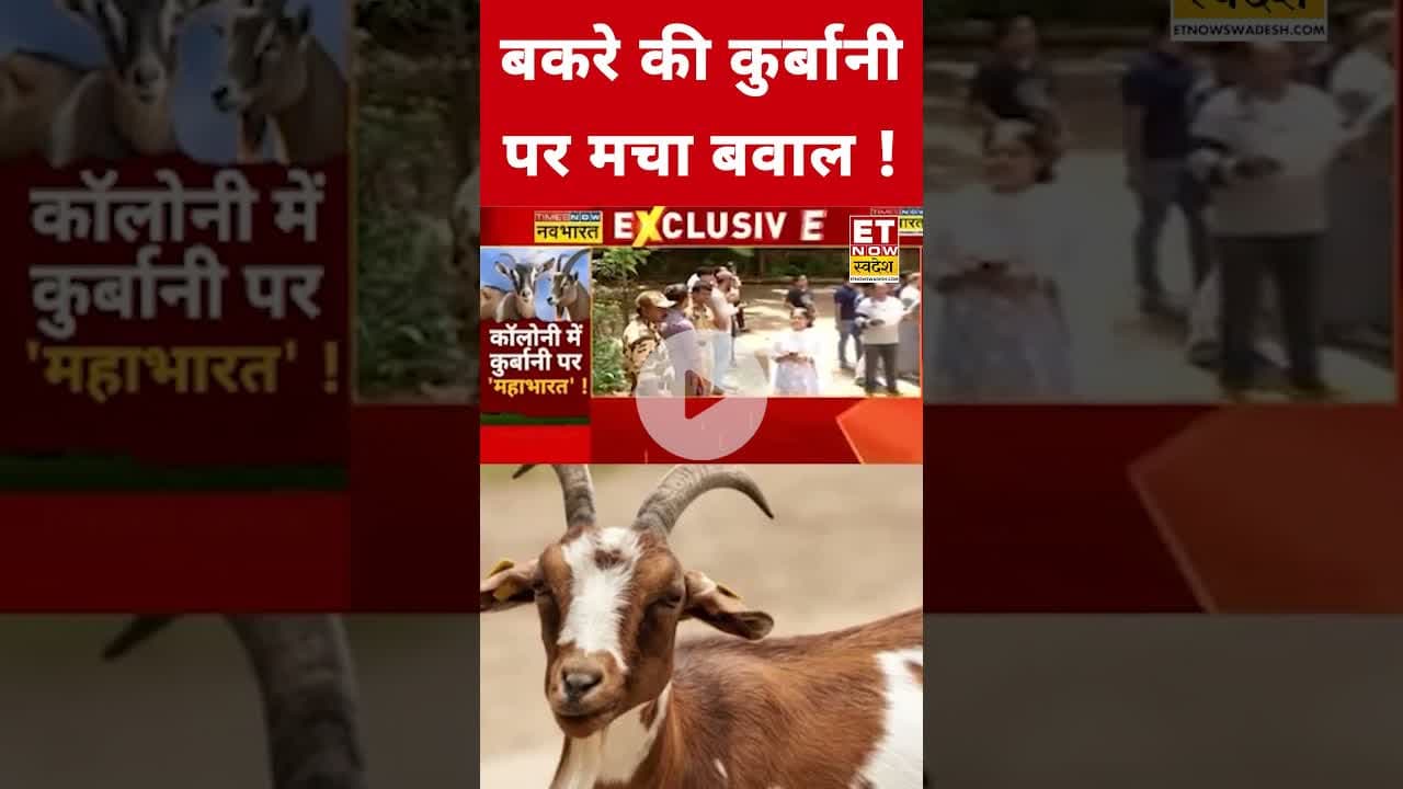 EID पर बकरे की कुर्बानी पर मचा बवाल ! #eidmubarak #eid #eidaladha #muslims #eidspecial