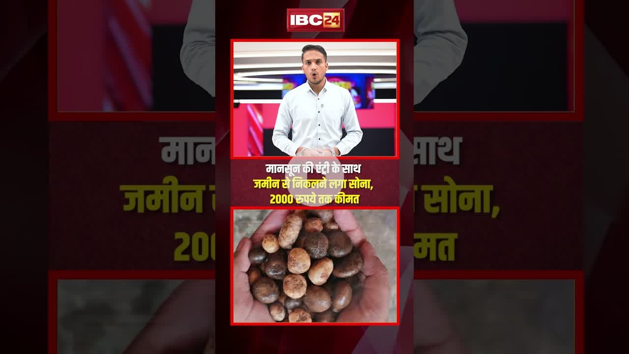 मानसून की एंट्री के साथ जमीन से निकलने लगा सोना, 2000 रुपये तक कीमत..#shorts #viralnews #knowledge