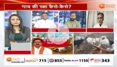 #गाय की रक्षा कैसे कैसे?
#गौ_तस्करी रोकने कड़ा कदम
Zee News - 1
#गौसेवा #गौसंरक्षण #ChhattisgarhNews #छत्तीसगढ़िया #chha