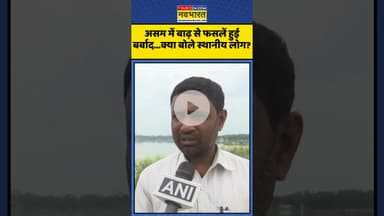 असम में बाढ़ से फसलें हुई बर्बाद...क्या बोले स्थानीय लोग? | #shorts #assamfloodnews #flood