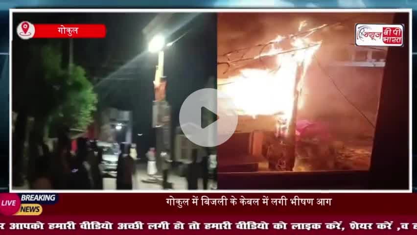 गोकुल में बिजली के केबल में लगी भीषण आग, मचा हड़कंप
#गोकुल #बिजली #केबल #भीषण #आग