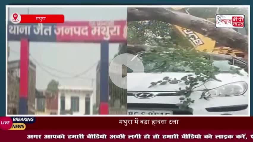 मथुरा में बड़ा हादसा टला! चलती कार पर गिरा पेड़, परिवार बाल-बाल बचा, बच्चा घायल
#मथुरा #हादसा #टला #कार