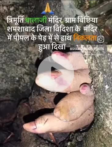 जिला विदिशा के ग्राम बिछिया में  त्रिमूर्तिधाम लाजी के दरबार में #पीपल के वृक्ष के नीचे शिवलिंग के हाथ दिखाई दे रहा है