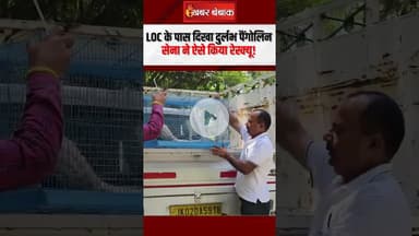 Viral Video: LoC के पास दिखा दुर्लभ Pangolin, सेना ने ऐसे किया रेस्क्यू! #shorts #indiaarmy