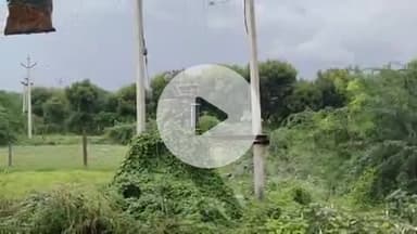 मसूदा के ग्राम पंचायत उतमी के गांव सूरजपुर में रोड पर लगे ट्रांसफॉर्म में कभी भी हो सकता है हादसा ग्रामीणों मैं बना डर