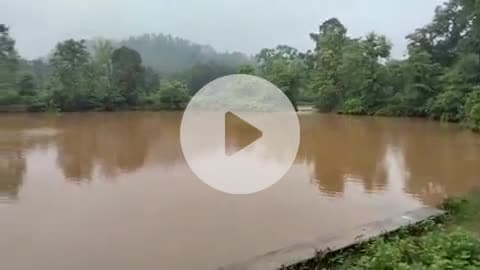 Goilkera prakhand ke bara panchayat ke kuntpai me Martam Hembram ka Talab se lagbag 1lac rupay machli pani me bah gaye.