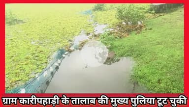 #कारीपहाड़ी #तालाब की पुलिया अचानक हुई ध्रुस्त पानी के तेज बहाओ के चलते
