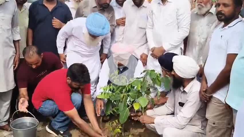 ਦਿੜਬਾ: ਦਿੜਬਾ ਵਿਖੇ ਪੰਜਾਬ ਦੇ ਵਿੱਤ ਮੰਤਰੀ ਹਰਪਾਲ ਚੀਮਾ ਨੇ ਲਗਾਏ ਪੌਦੇ