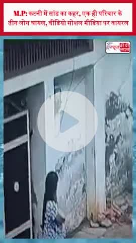 M.P: कटनी में सांड का कहर, एक ही परिवार के तीन लोग घायल, वीडियो सोशल मीडिया पर वायरल
M.P #कटनी #सांड