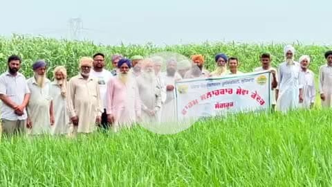 ਭਵਾਨੀਗੜ੍ਹ: ਭਵਾਨੀਗੜ੍ਹ ਦੇ ਹਰ ਕਿਸ਼ਨਪੁਰਾ ਪਿੰਡ ਵਿੱਚ ਖੇਤੀਬਾੜੀ ਮਾਹਿਰਾਂ ਵੱਲੋਂ ਕਿਸਾਨਾਂ ਦੇ ਖੇਤਾਂ ਦਾ ਕੀਤਾ ਦੌਰਾ
