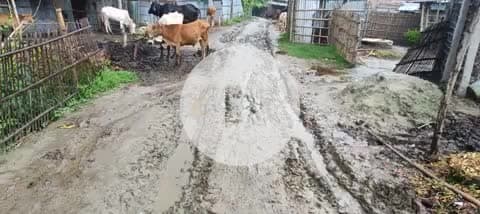 सुखासन पंचायत में काफी बारिश हुआ आज बारिश की कारण से रोड का स्थिति #ग्वालपाड़ा#प्रखंड#मधेपुरा#बिहार#पब्लिक#indan#Sarkar