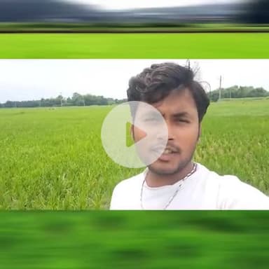 किसान है परेशान सरकार नहीं दे रहा है ध्यान पानी के बिना धान का फसल हो रहा है बर्बाद 
#bihar #dhanfasal #sonuyadav #news
