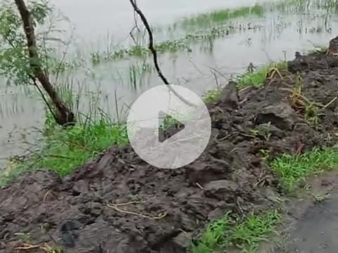 यमुना पार (बारा) पिपराव, ##मुजरा में बाढ़ के कारण, मकान में घुसा पानी ##🙏, जो इसमें नुकसान भी हुआ है####