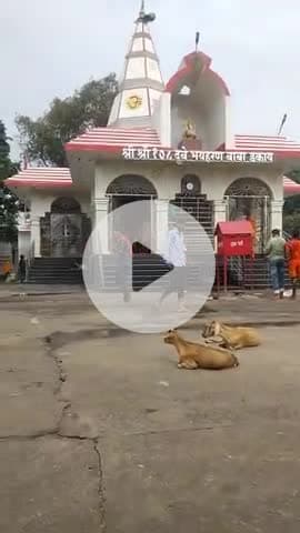 dakay baba mandir puja 11/08/2025