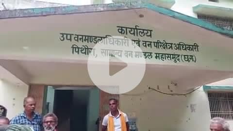 वन प्रबंधन समिति गोडबहाल के सदस्यों द्वारा सामूहिक इस्तीफा पिथौरा उपमंडल अधिकारी एवं वन परिक्षेत्र कार्यालय में सोपा गया