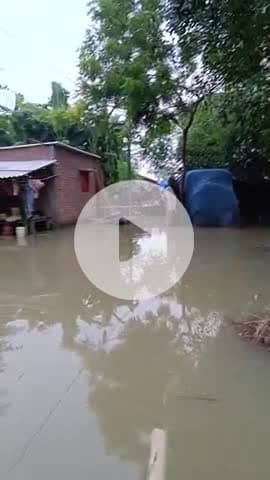 😢🙏#@katihar_ _amdabad_-_ khatti pardiyara gaw pure dub chuka hai😭😭😭😭😭😭