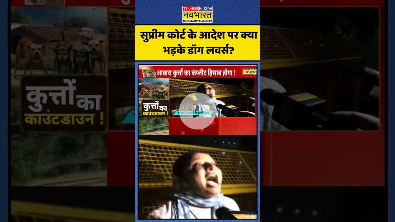 सुप्रीम कोर्ट के आदेश पर क्या भड़के डॉग लवर्स? | #shorts #supremecourtofindia #dogslover #scondog