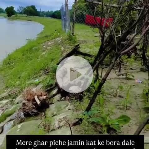 kaparwar ghar binwapuri me jamil kat ke bora dale the sab abhi 1 mahina bhi nahi hua katana suru ho gaya