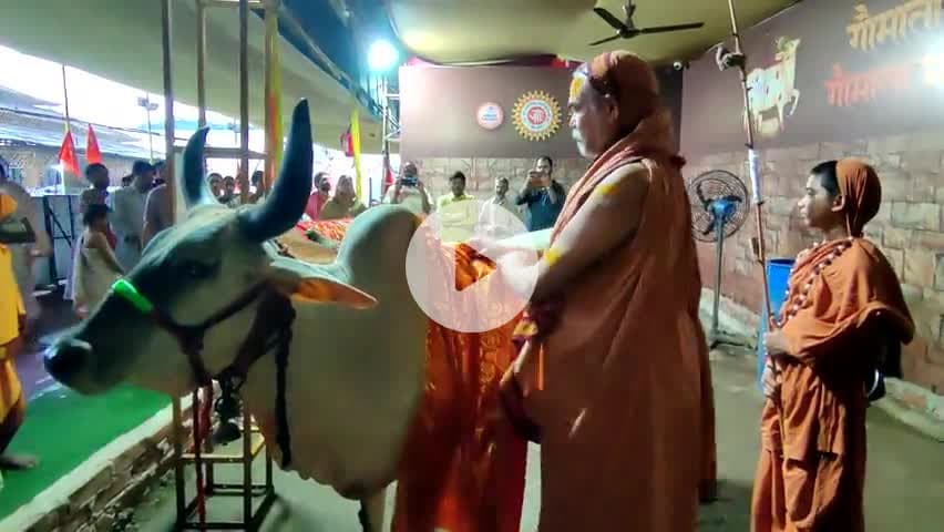 #मुंबई_महाराष्ट्र भव्य एवं दिव्य चातुर्मास्य व्रत अनुष्ठान
परम् पूज्य ज्योतिष् पीठाधीश्वर जगद्गुरु शंकराचार्य जी महाराज श्री
गौ माता राष्ट्र माता यज्ञशाला में आवाहित देवताओं,ध्वज पूजन,गौ माता पूजन,गांव देवी मंदिर दर्शन 18 अगस्त 202