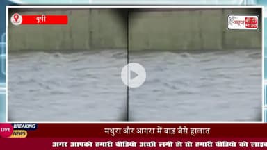 #मथुरा से लेकर आगरा के #ताजमहल तक पानी ही पानी, #वृंदावन #नौहझील, #मांट क्षेत्र जलमग्न