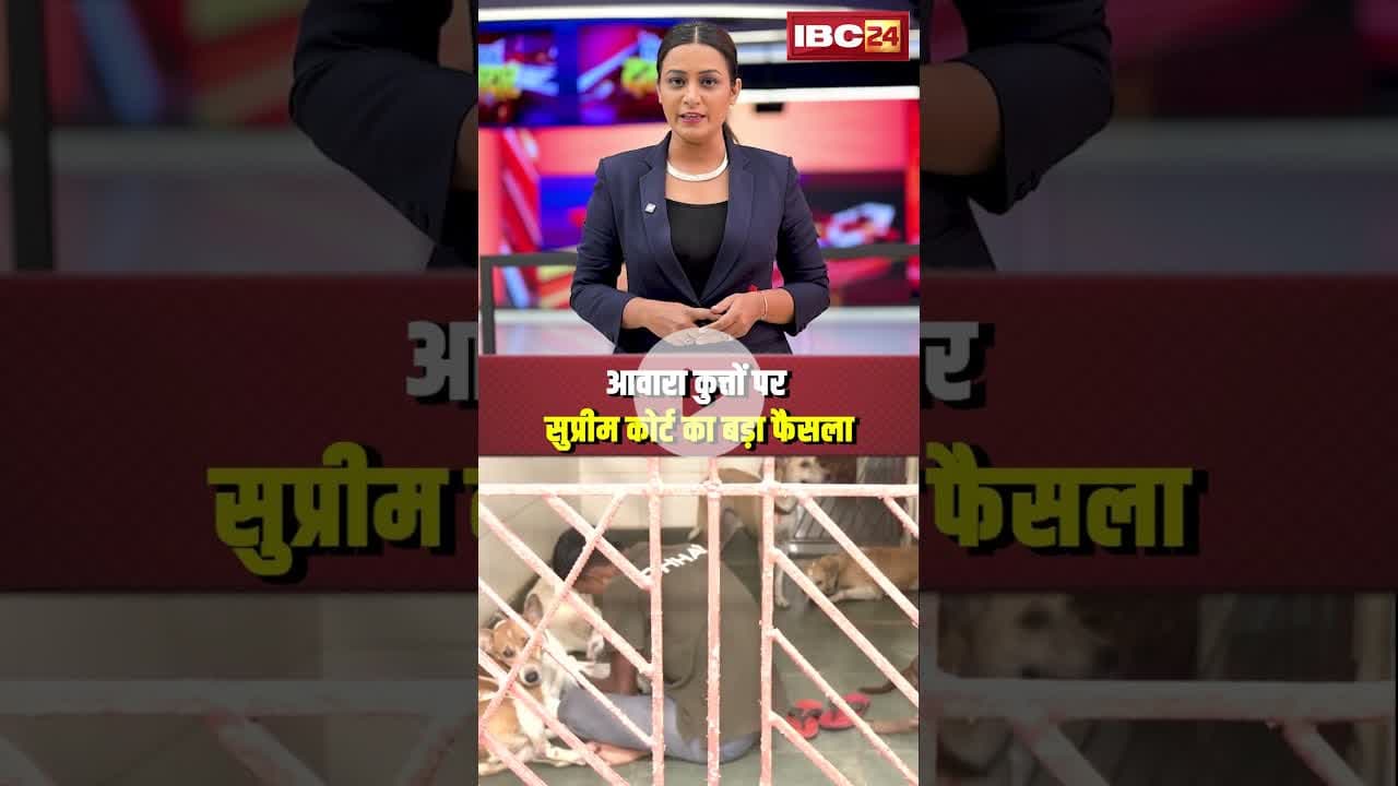 आवारा कुत्तों पर सुप्रीम कोर्ट का बड़ा फैसला। #shortvideo #streetdog #suprimcourt
