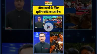 News Ki Pathshala | Sushant Sinha : डॉग लवर्स के लिए सुप्रीम कोर्ट का आदेश #doglove #sushantsinha