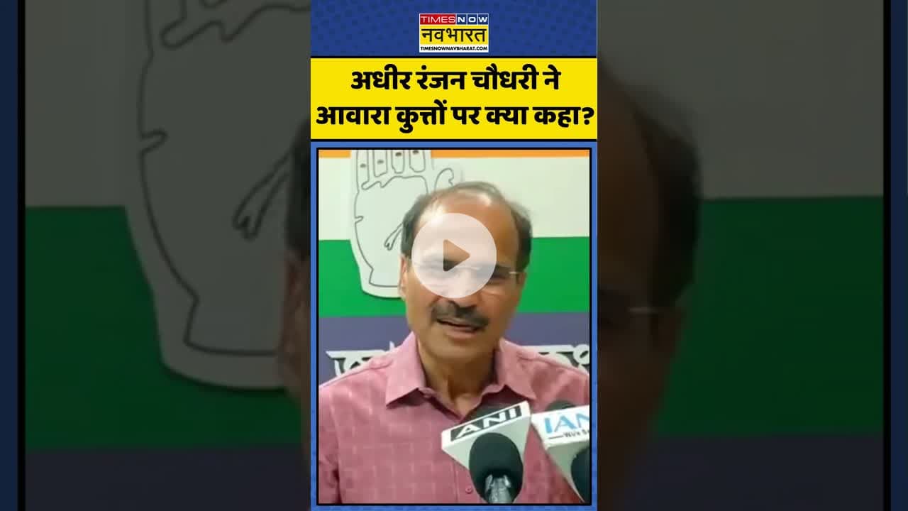 SC On Stray Dogs: अधीर रंजन चौधरी ने आवारा कुत्तों पर क्या कहा? | #shorts #supremecourtofindia