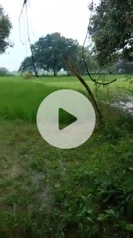 बहुत तेज बाबा के पूर्व देवी नगर में पानी बरस रहा है@##खागा के बगल का मामला है