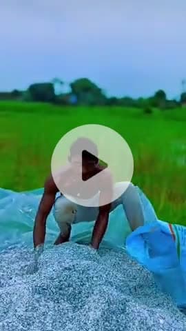 किसान की मेहनत से महकती है मिट्टी 🌾🚜 #AnandMurmuOfficial #EmotionalReel #LoveVibes #farmer #farming_lover #shorts