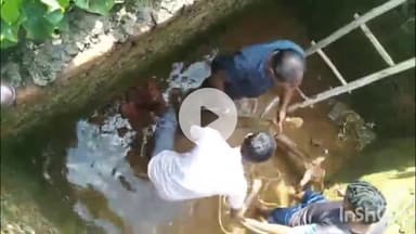 केल्हारी: ग्राम चाँटी में निर्माणाधीन टैंक में गिरा चीतल, बचाव के बाद भी नहीं बच सकी जान