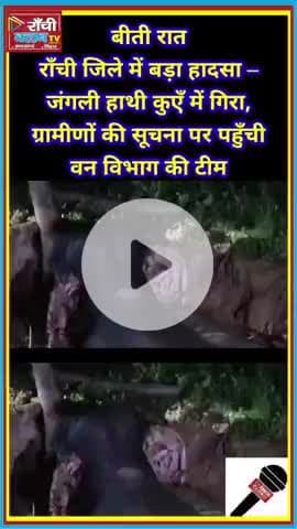Ranchi Chanho ! कुएँ में गिरा जंगली हाथी 🐘 | वन विभाग का Rescue Operation

#Ranchi #Jharkhand #Chanho #ElephantRescue