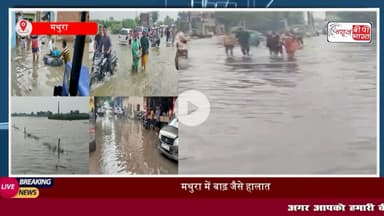 Mathura: तेज बारिश और #यमुना नदी के बढ़ते #जलस्तर से मथुरा में मची हाहाकार, घरों में घुसा #पानी, कई कॉलोनियां #जलमग्न
#मथुरा #वृंदावन