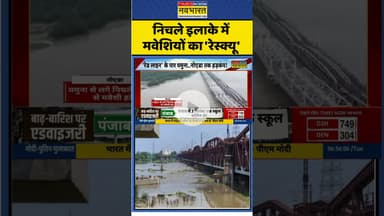 निचले इलाके में मवेशियों का 'रेस्क्यू' #hathinikundbarrage #delhiyamuna #overflowing