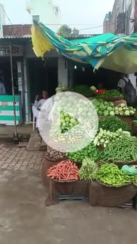 mohana me sarkari jameen 50 kador rupaye ki kabja kar liya hai gand Marne ki aavedan Sarkar se