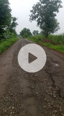 नेवली कलान‌ का रासता सरपंच क्या सो गया है