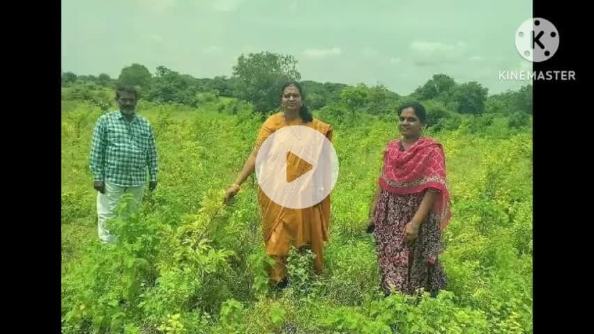దేవరుప్పుల: మొక్కల పెంపకానికి ప్రతి ఒక్కరు ప్రాధాన్యత ఇవ్వాలి: ఎంపీడీవో మమత