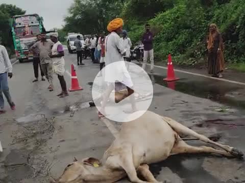 rami ki jhopaadiya me barect ki mag ha rahi hai go mata ko. mar raha he