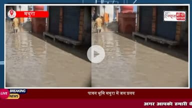 https://youtu.be/eFWCz1hT8jg
#UP यमुना के बढ़ते जलस्तर से शहर में हाहाकार मांट रोड और पानी गांव रोड जलमार्ग में तब्दील
#मथुरा #मांट #पानीगाँव #वृंदावन