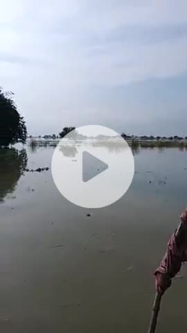 भागलपुर की नदी खतरे के निशान पर है देवरिया से लेकर पूरा देवराहवा बाबा आश्रम तक पूरा पानी ही पानी दिखेगा आपको@##
