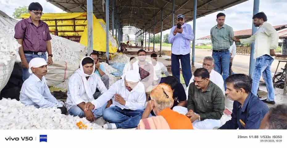 कसरावद : कसरावद मंडी परिसर में कपास खरीदी का मुहूर्त हुआ व्यापारियों ने कपास खरीदी पर लगाई बोली