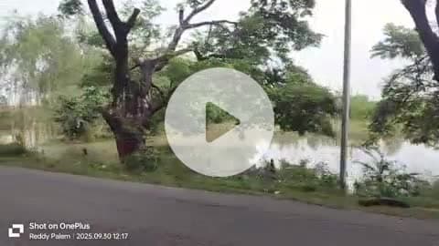 బూర్గంపహాడ్: పెరుగుతున్న గోదావరి వరద నీటి వల్ల బూర్గంపాడు మండలంలో ఉన్న పంట పొలాలకు నష్టం వాటిల్లుతున్నది