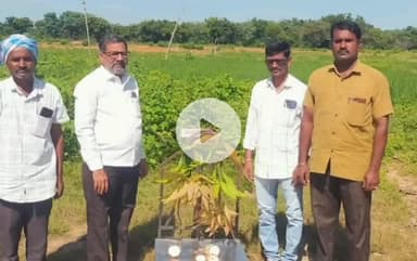 ఉమ్మడి నిజాంసాగర్ మండలంలో ప్రారంభమైన వరి కొనుగోలు కేంద్రాలు