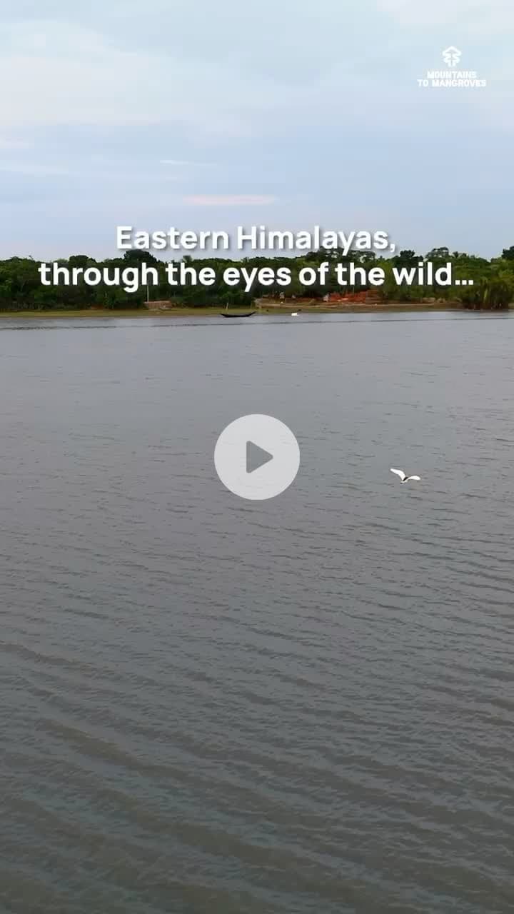 Stories from biodiversity from the #EasternHimalayas, coming soon.