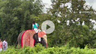 পূব যোৰহাট: কৰঙা কাতনি গাঁৱত হাতী লৈ শোভাযাত্ৰা , শ্ৰীমন্ত শঙ্কৰদেৱ গুৰুজনাৰ ৫৫৭ তম জন্মজয়ন্তী উদযাপন