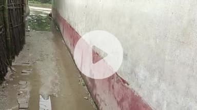 फलका प्रखंड अंतर्गत सालेहपुर पंचायत में विकास एवं मनरेगा योजना के नाम पर धांधली की होड़ #मनरेगा_खाओ_पकाओ_योजना #