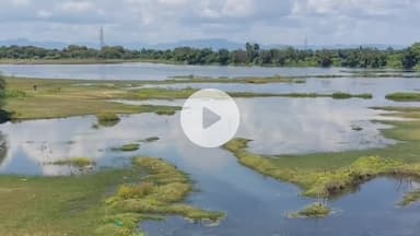 சேத்துப்பட்டு: அருந்ததி பாளையத்தைச் சேர்ந்த ஒரே குடும்பத்தைச் சேர்ந்த அண்ணன் தம்பி ஏரியில் மீன் பிடிக்கச் சென்றபோது தவறி விழுந்து உயிரிழப்பு