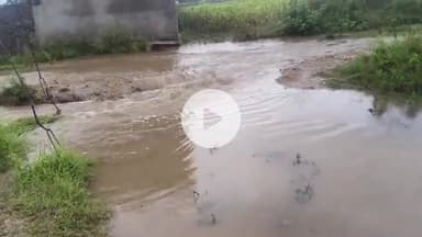 goyla mein ward number 8 mein chalte Hain raste ki taraf rastadasht karte ho gaya hai vah Panchayat samiti se gujarish