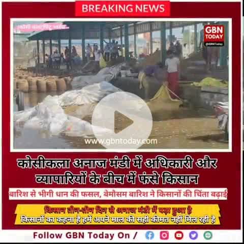 "कोसीकला अनाज मंडी में बारिश से भीगी धान, फसल की कीमत को लेकर परेशान किसान"
#कोसीकला #अनाजमंडी #किसान_परेश