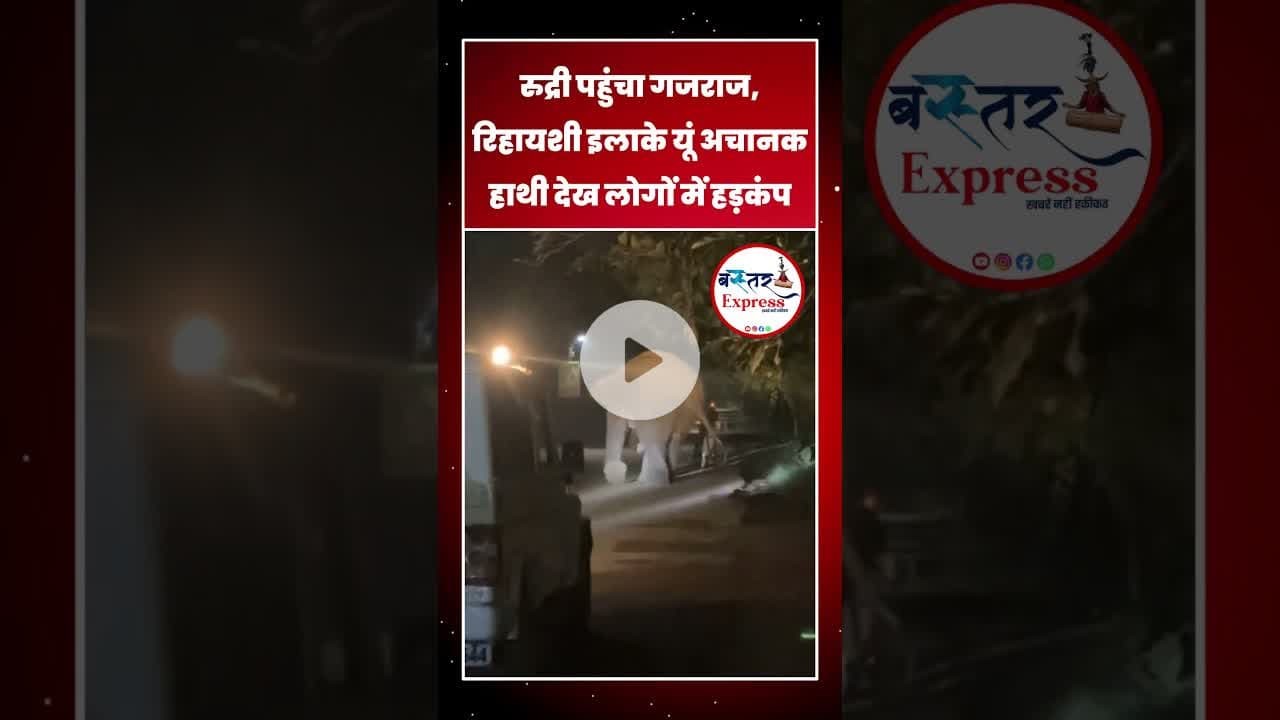 #DhamtariNews #ElephantInTown #DhamtariBreaking #WildElephant #RudriChowk #DhamtariUpdate #hanthi