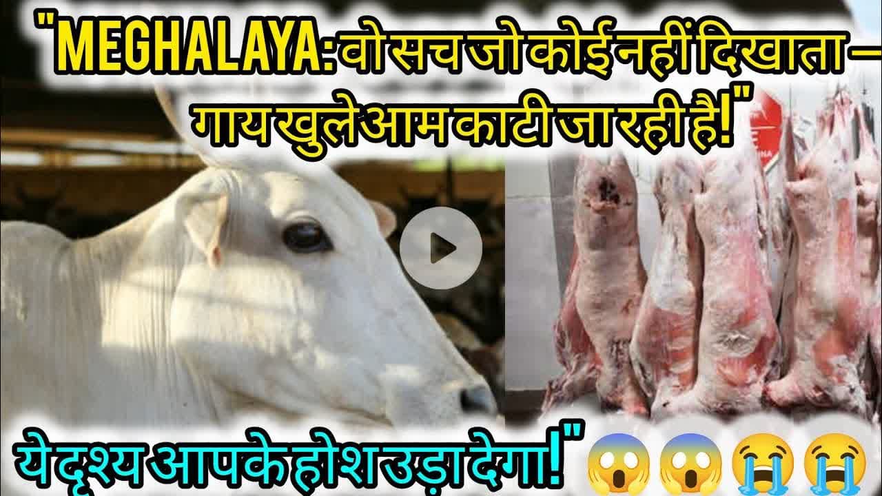 Meghalaya की हकीकत: गाय खुलेआम काटी और बेची जा रही है!"#Meghalaya #LivestockTrade